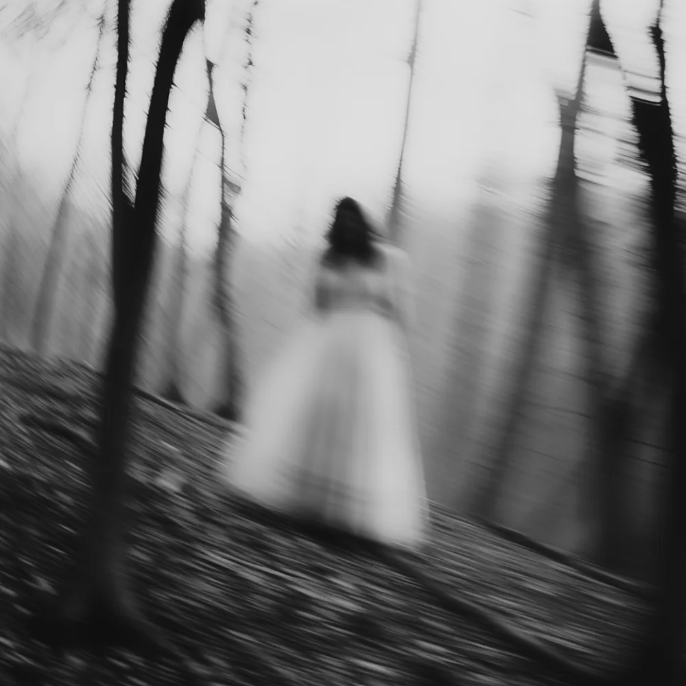 Black and white image: Among The Whispering Trees.