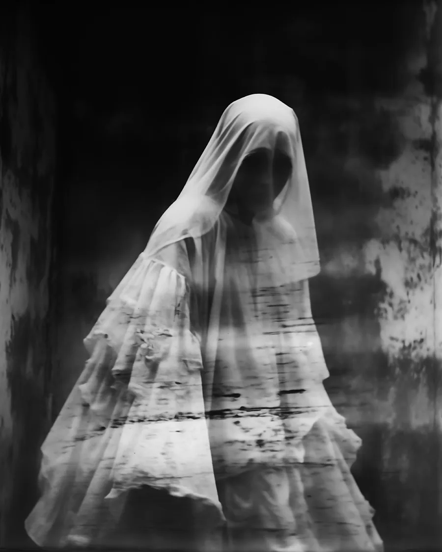 Black and white image: Haunting Veil.