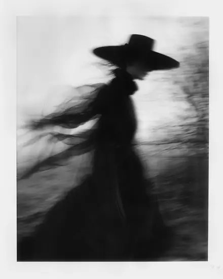 The Silent Wanderer